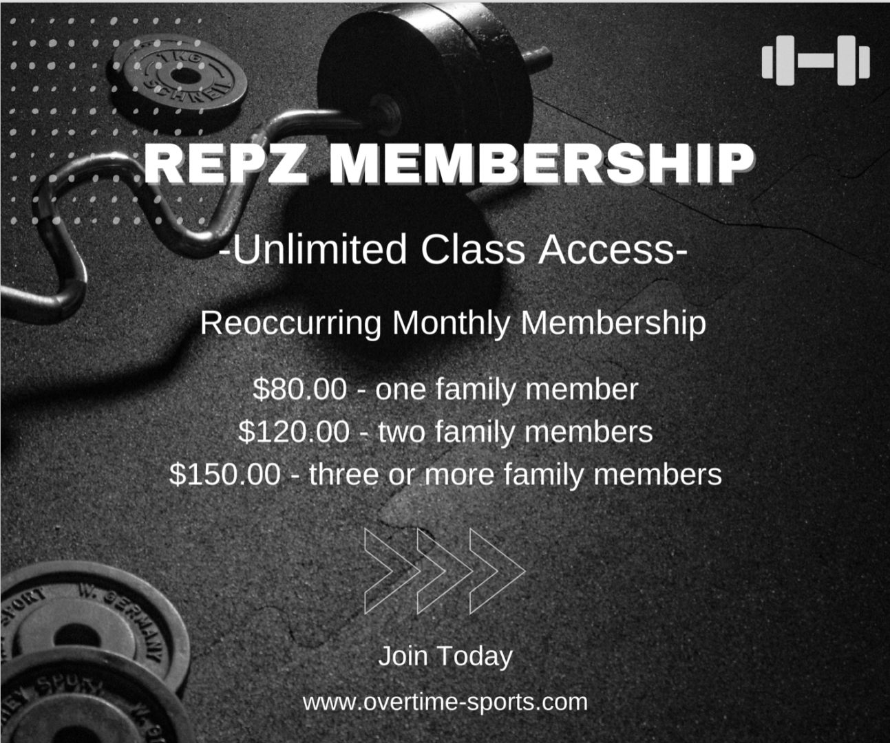 Repz membership